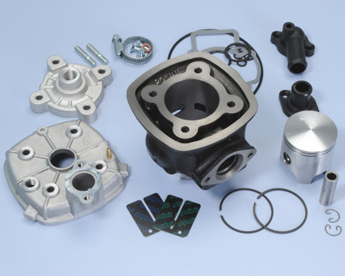 Polini Kit Piaggio Quartz-nrg H2O D.47 - codice 140.0183