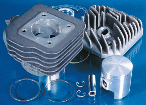 Polini Kit Peugeot Sv-geo-buxy D.47 - codice 142.0147