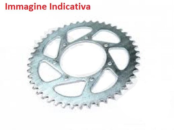Polini 144.295.038 - immagine prodotto in aggiornamento