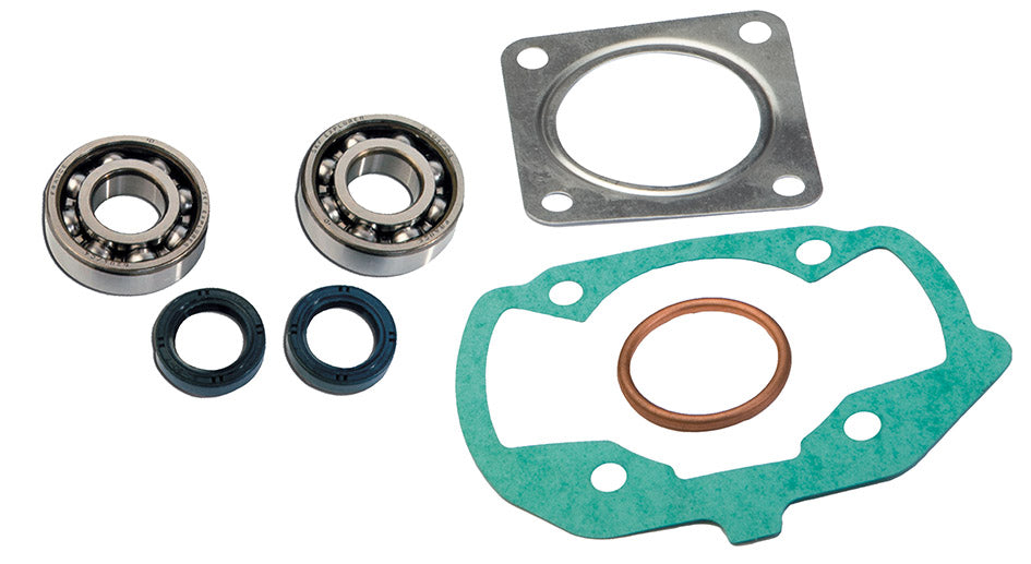 Kit cuscinetti Skf + guarnizioni cilindro Pgt Ludix air C4 PEUGEOT 075109
