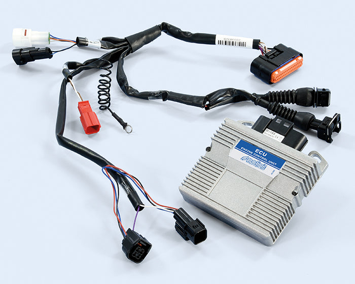 Polini Centralina Ecu Vespa Gts 300 Euro 5 - codice 171.0017