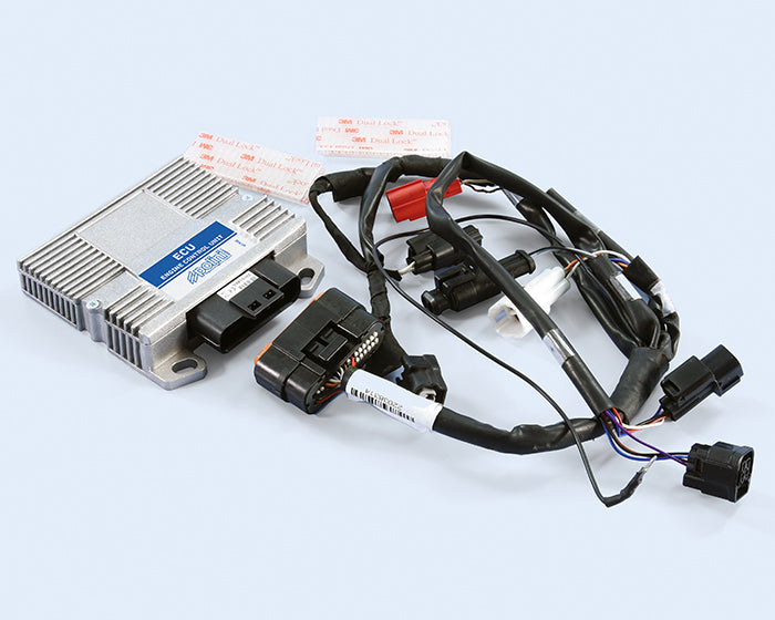 Polini Centralina Ecu Vespa Iget 125 Euro 5 - codice 171.0018