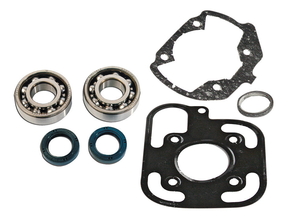 Kit cuscinetti Skf + guarnizioni cilindro Pgt Ludix H2O C4 PEUGEOT 075114