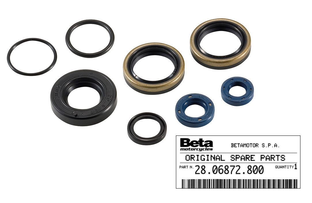 Serie paraoli Evo 2T 125/250/300 ('11/'16) Beta 310059