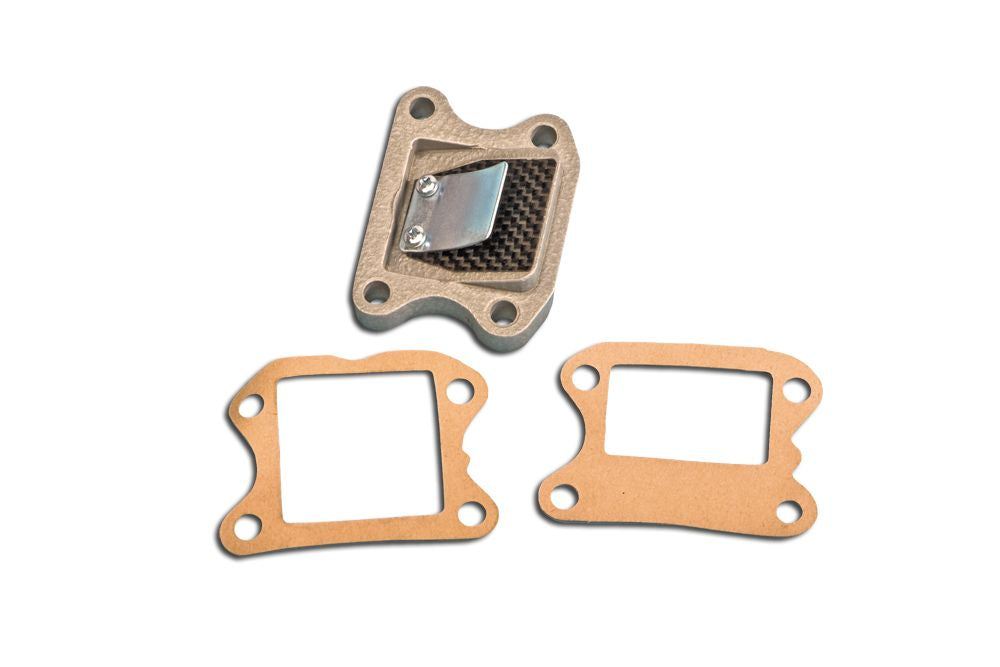 Valvola petali in carbonio Pgt Buxy C4 HONDA HSC KYMCO PEUGEOT SYM LOMAT 695C