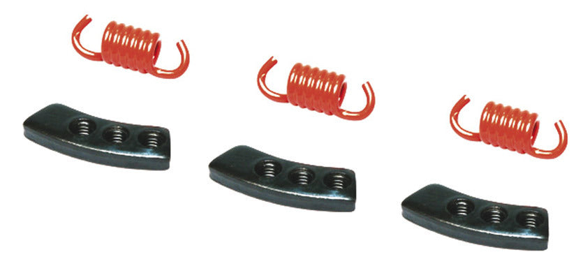 Serie molle frizione rosse Malossi x Delta Clutch (3 pz.) AEON APRILIA 298743