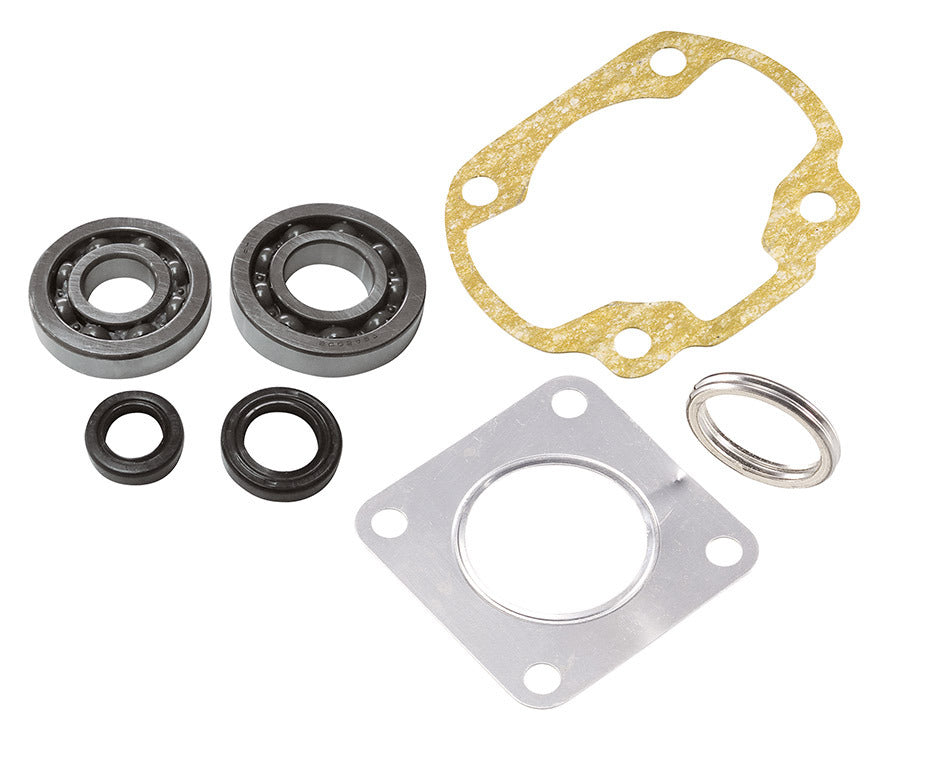 Kit cuscinetti Skf + guarnizioni cilindro Sym Jet 2T C4 JET 50 1999-2001 075116