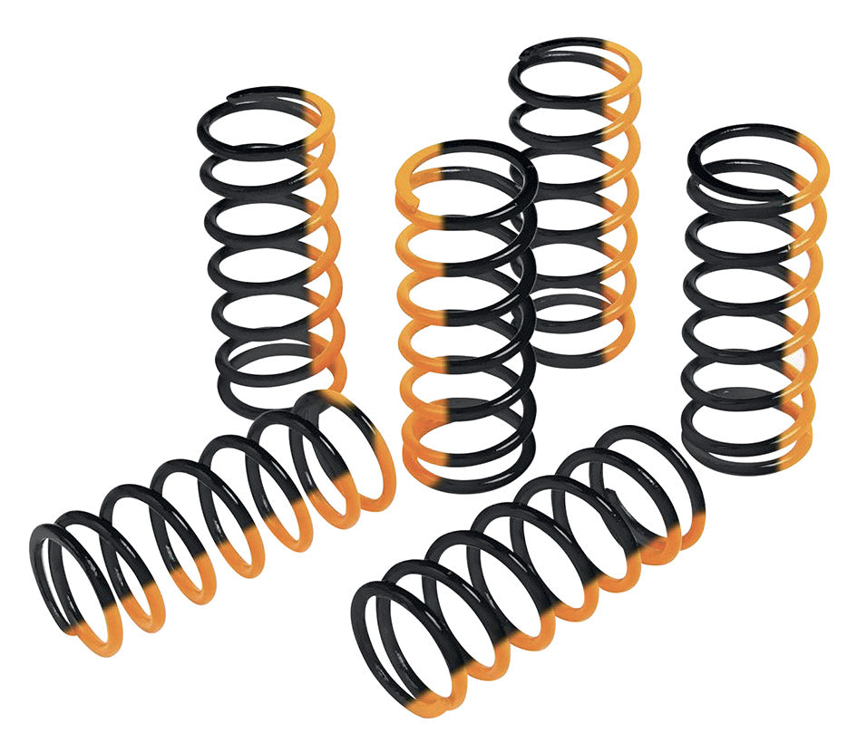 Kit molle frizione Racing Beta, Montesa, Scorpa, Sherco S3 (6 pz.) MO 302
