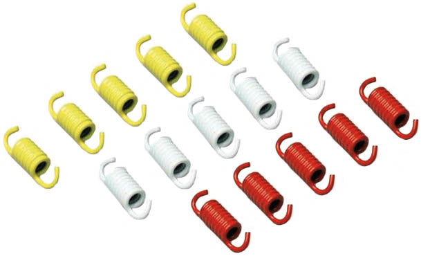 Serie molle frizione Malossi (15 pz.) APRILIA GILERA HONDA KAWASAKI 2913137