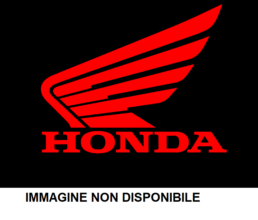 Deflettore inferiore Honda FORZA 750 2021-2022 08R71-MKV-D00