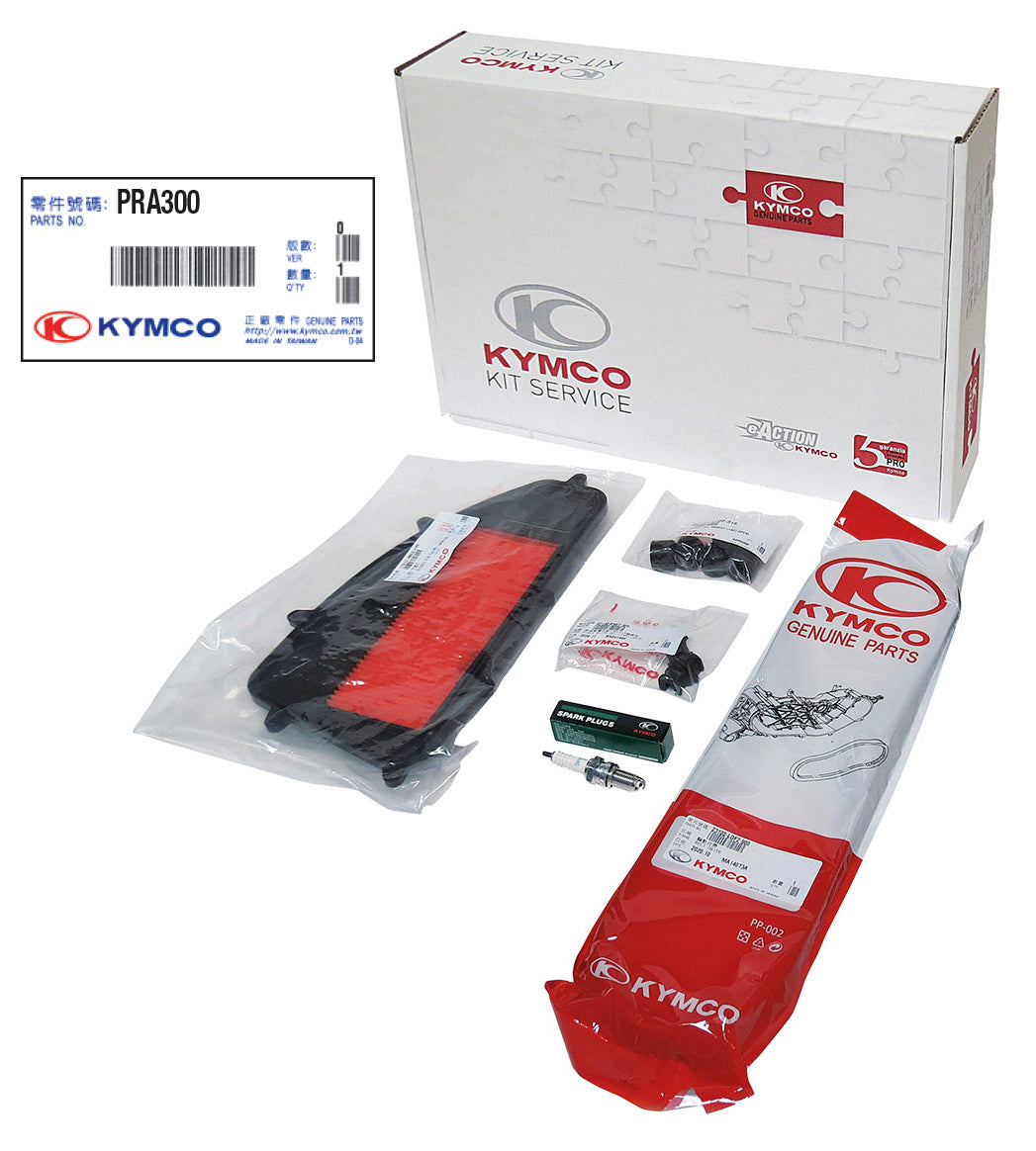 Kit revisione Kymco Agility 300I R16