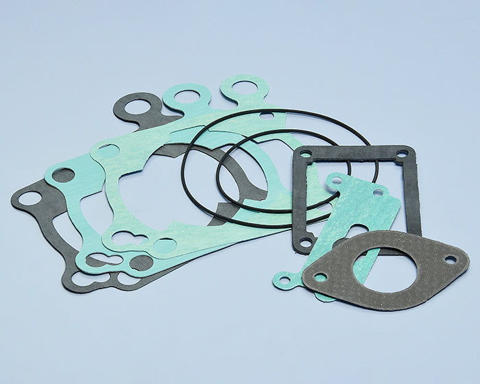 Polini Serie Guar. Cagiva C9-c10-c12 - codice 209.0133
