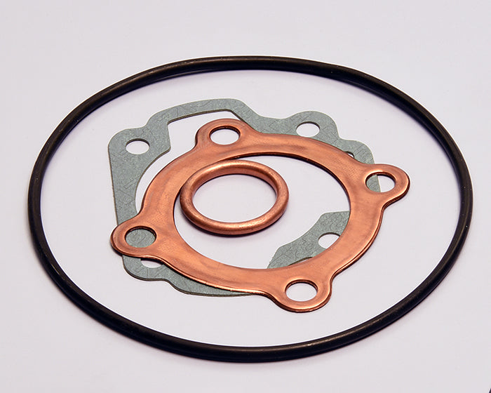 Polini Serie Guar. Honda Camino D.46 H2O - codice 209.0235