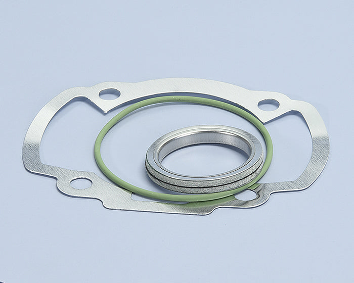 Polini Serie Guar. Honda Gp-sco1 M.corsa - codice 209.0383