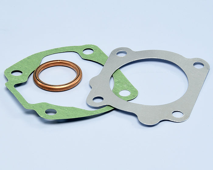 Polini Serie Guar. Kymco Djx - codice 209.0398