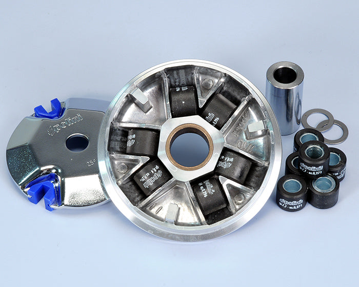 Polini Variatore Honda Bali 50-peugeot Sv - codice 241.510