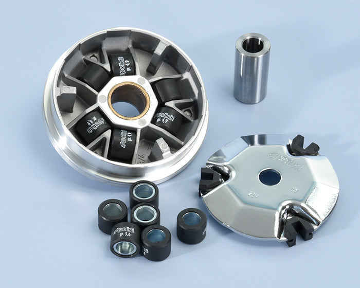 Polini Variatore Peugeot 50 Ludix-j.f.car. - codice 241.632