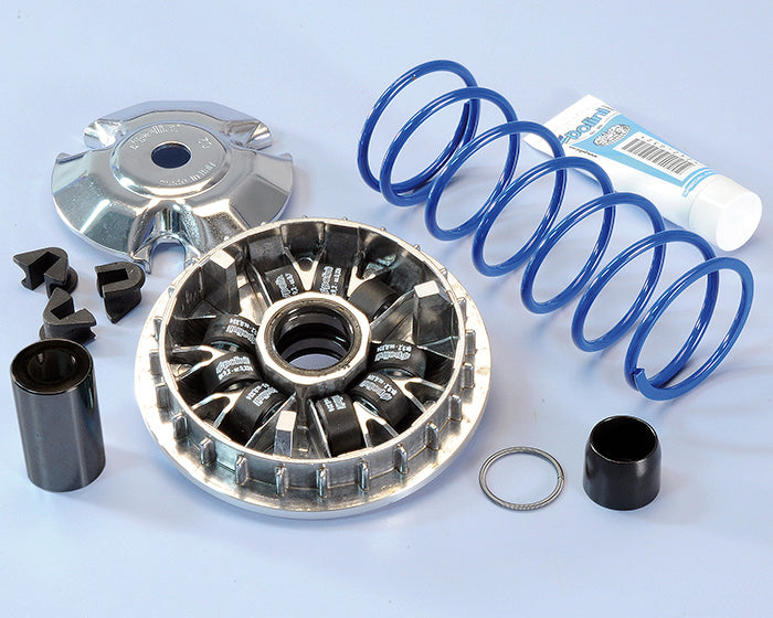 Polini Var.hi-speed Honda 125 Pcx 9 Rulli - codice 241.697