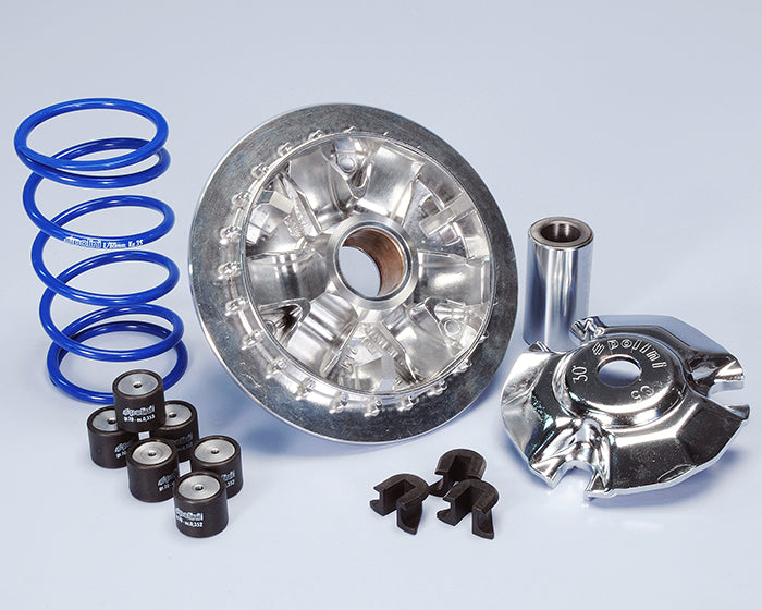 Polini Var.hi-speed Yamaha N-max 125-155 - codice 241.729