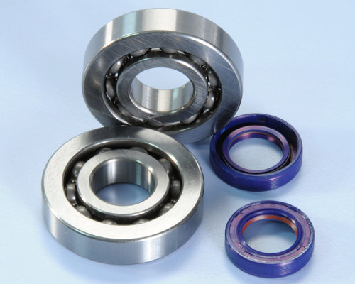 Polini Kit Revis. For Race Albero Motore Piaggio - codice 282.0001