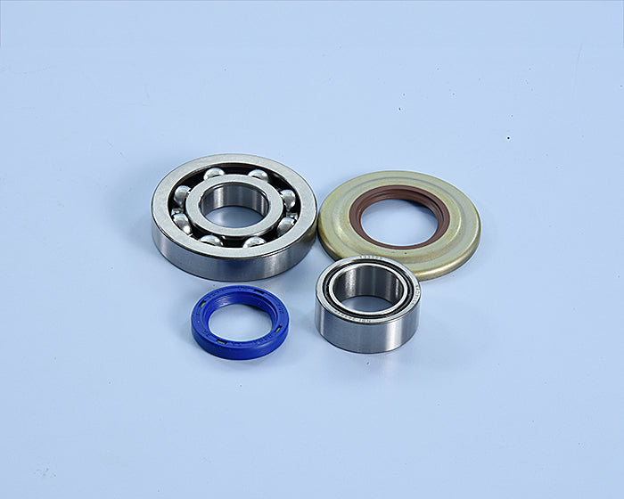Polini Kit Revis. Original Albero Mot.vespa 125/200 - codice 282.0207
