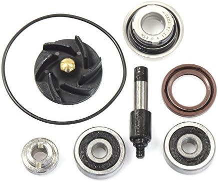 Kit di riparazione pompa d'acqua Beverly 300|B019CB3KPY