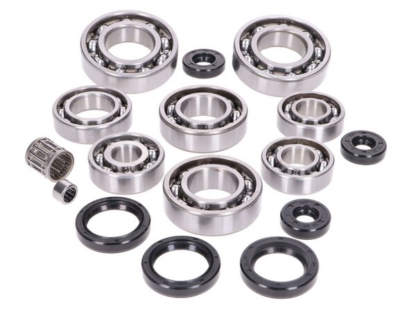 Kit cuscinetti motore e paraoli ROTAX tipo 123 -1997 2T LC