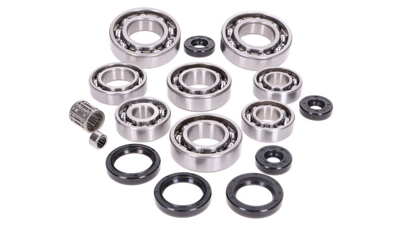 Kit cuscinetti motore e paraoli ROTAX tipo 123 -1997 2T LC