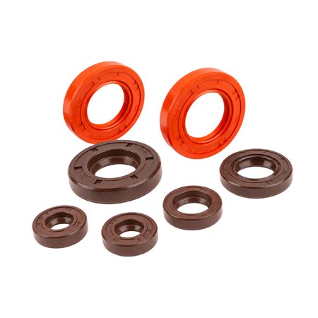 Kit paraoli motore Stage6 Derbi Euro 3/4