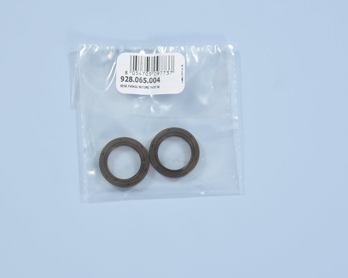 Polini Serie Paraoli Motore Thor 190 - codice 928.065.004