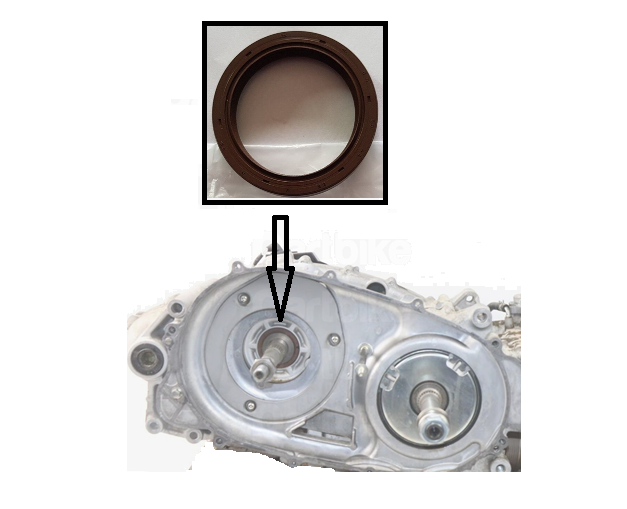 PARAOLIO LATO CORRETTORE TMAX 500 530 560