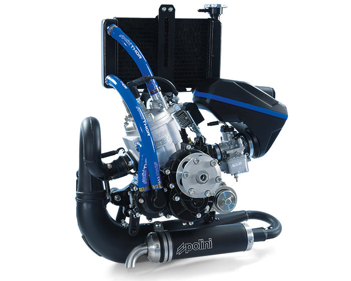 Polini Motore Thor 260 Avv.elettrico R.3,2 - codice 928.000.141