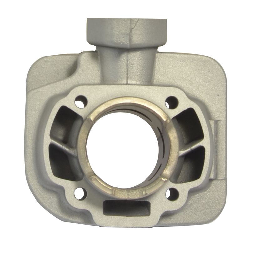 Gruppo Termico Standard Bore Ø 41 mm, 50 cc con Guarnizioni necessarie per l'installazione