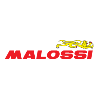 TRASMISSIONE COMPLETA MALOSSI VARIATORE+CAPANA+FRIZIONE+CINGHIA SUZUKI BURGMAN 400 K7-K9