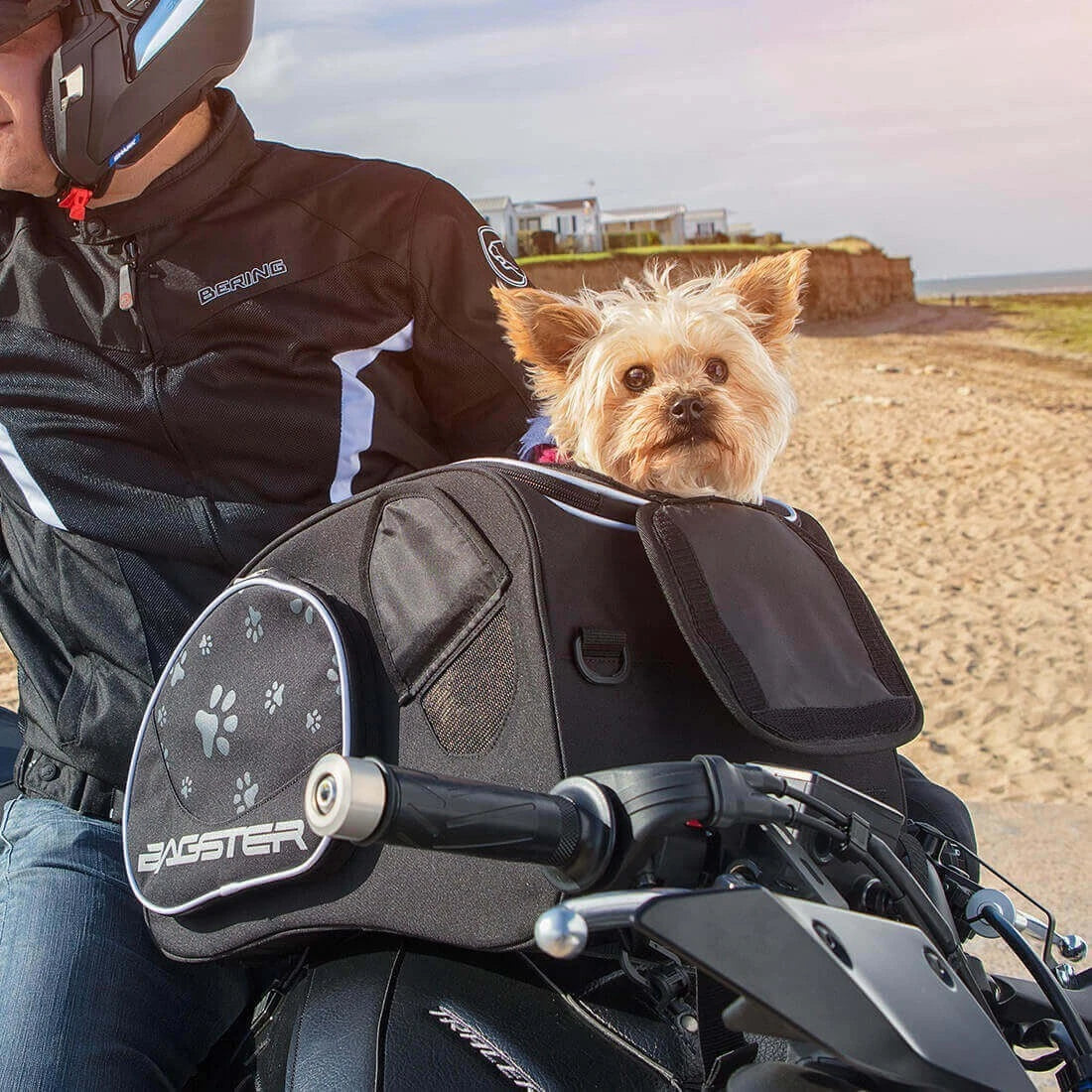 bagster puppy 30l borsa da serbatoio per il trasporto di animali domestici sulla Moto e Scooter