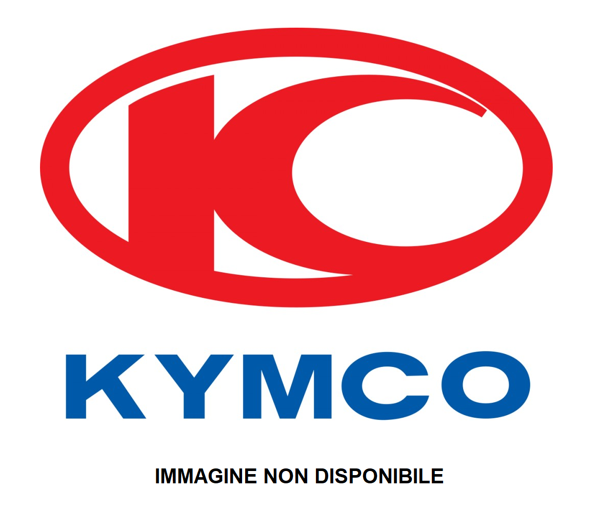 Scatola filtro aria completa Kymco DINK 125 2006-2016 1723A-KKC2-800