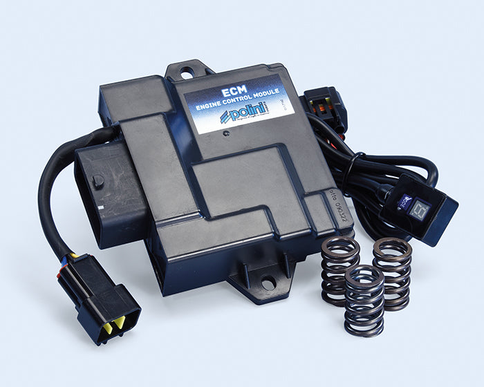 Polini Centralina Ecm Aprilia Sxr 50 E5 - codice 171.0022