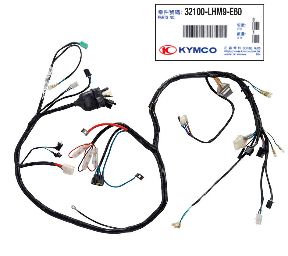 Cablaggio cpl. Agility 50 2T R12