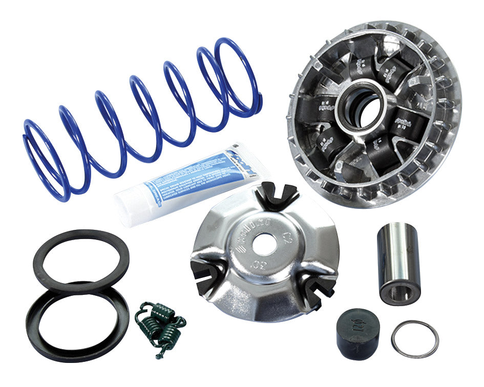 Maxi Hi Speed Forza, SH 125IE EU5 2020 Polini HONDA FORZA 125 PCX 125 241755