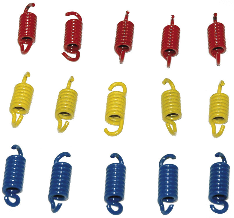 Serie molle frizione Malossi 