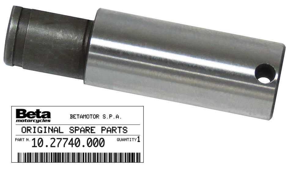 Perno pompa acqua Beta Evo 2T, Factory 125/250/300 ('11/'25) 310153