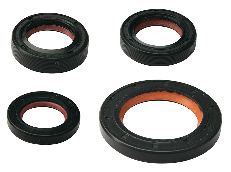 Kit paraoli Piaggio, Gilera 4 pz. Malossi APRILIA DERBI ITALJET VESPA 6618160