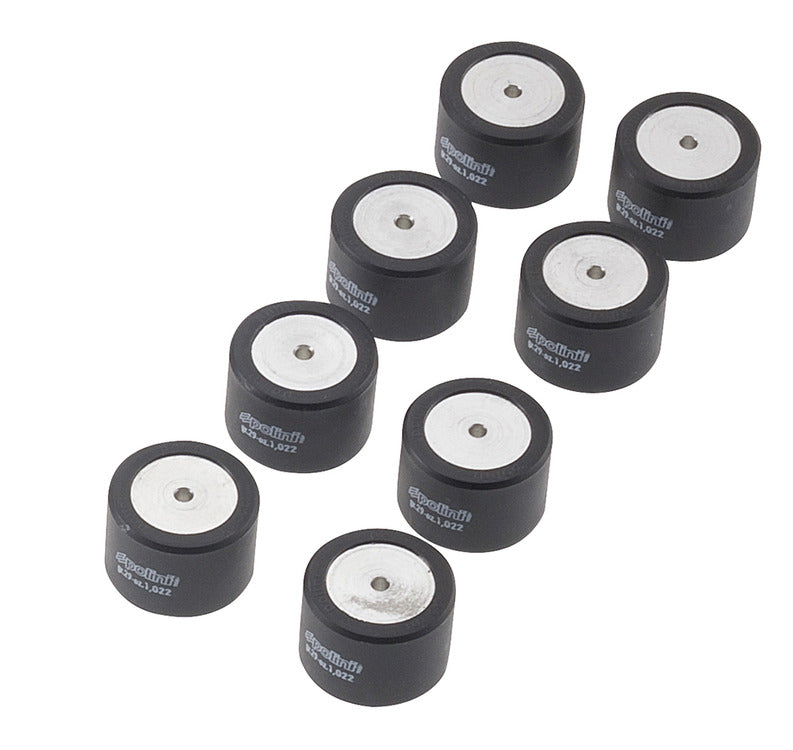 Massette Polini Ø 28x19,9 gr. 20,0 SilverWing 400 HONDA SILVER WING 400 242237