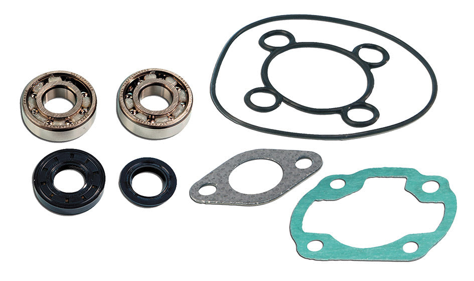 Kit cuscinetti Skf + guarnizioni cilindro Nitro C4 APRILIA BENELLI BETA 075104