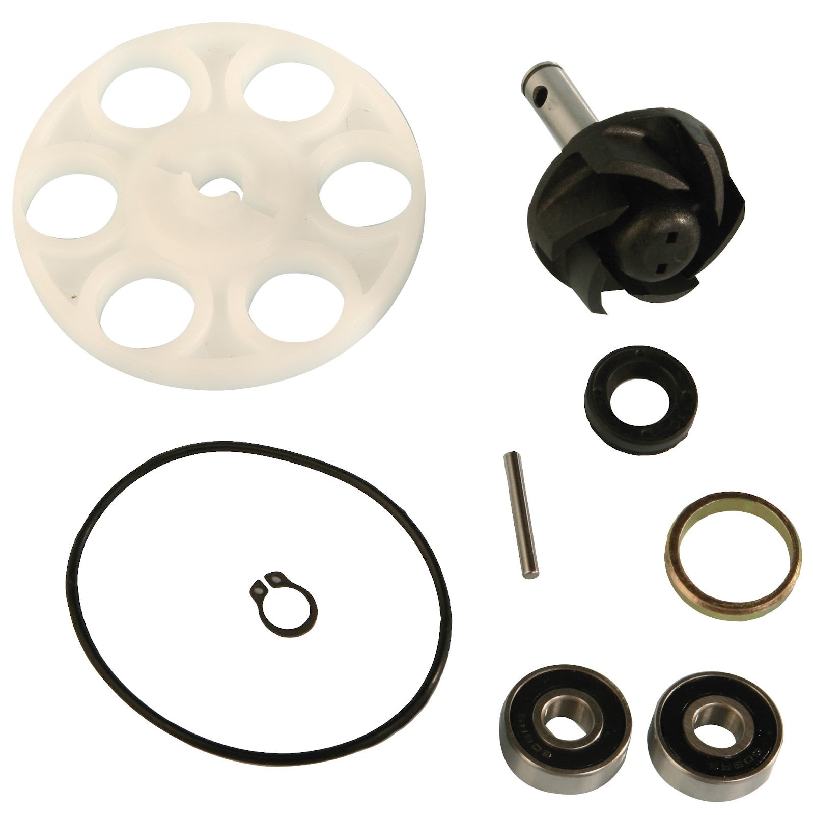 Kit revisione pompa acqua Nitro, F12 DR APRILIA BENELLI BETA ITALJET AA 00788 DR