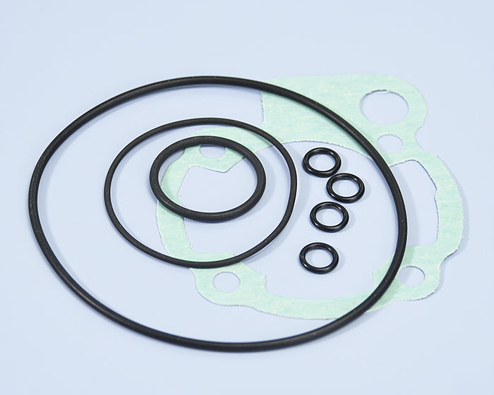 Polini Serie Guar. Minarelli AM6 Con Or - codice 209.0296