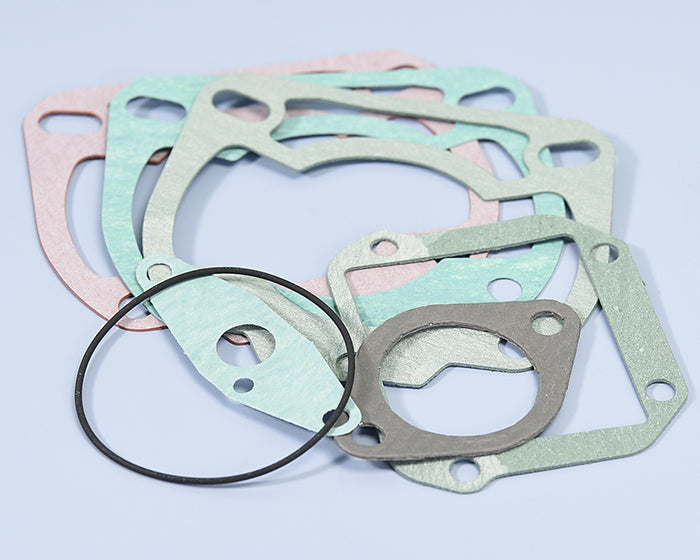 Polini Serie Guar. Motore Rotax 123 - codice 209.0322
