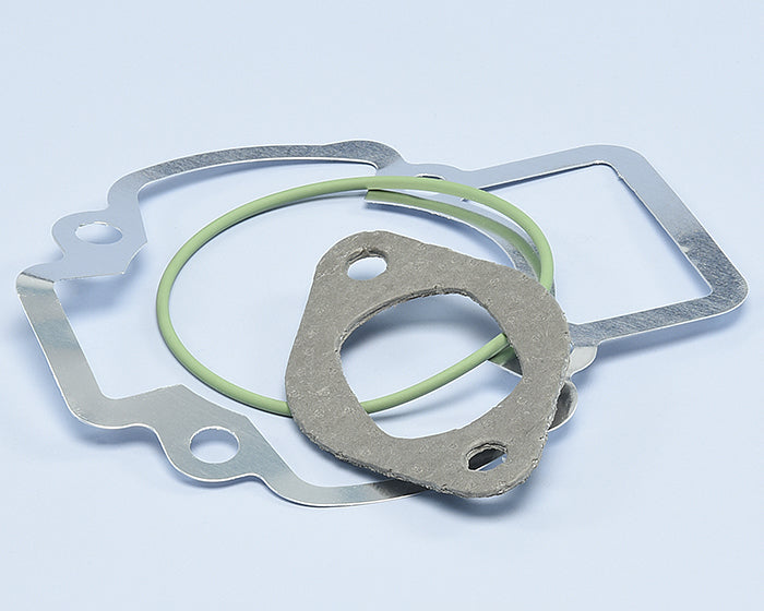 Polini Serie Guar. Piaggio Zip Evolution - codice 209.0389/E
