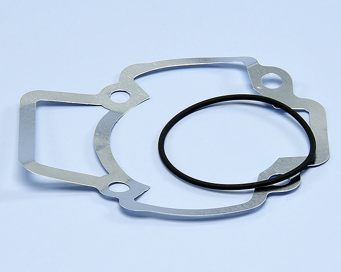 Polini Serie Guar. Piaggio Sfera-zip D.40 - codice 209.0399
