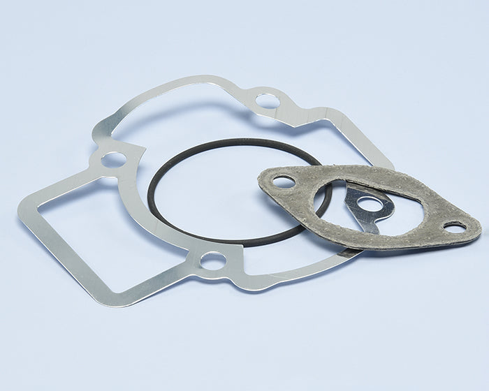 Polini Serie Guar. Piaggio Zip D.40,2 - codice 209.0408
